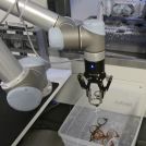 Image - Collaborative Robots Help Lowercase Build Capital in American Eyewear Manufacturing